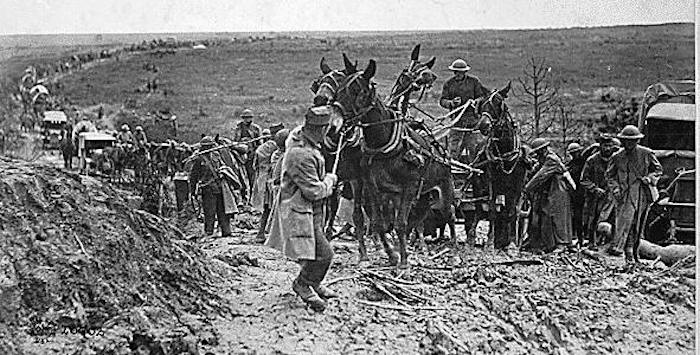 Tren de mulas en la Primera Guerra Mundial