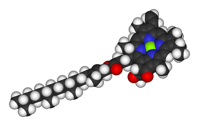 clorofila