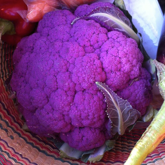 coliflor morada