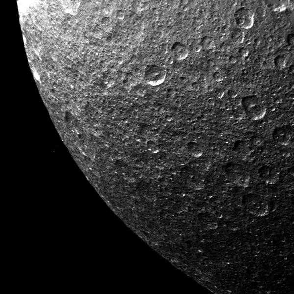 Rea por Voyager