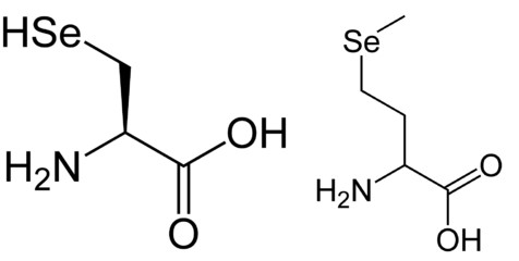 Selenocisteína y selenometionina